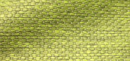 tetri 818 eden 261